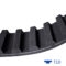 T10 timing belt teeth